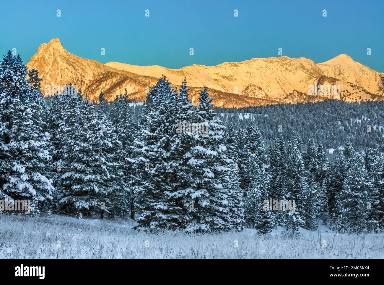 Erstes Licht auf dem bridger Range im Winter bei bozeman, montana Stockfoto