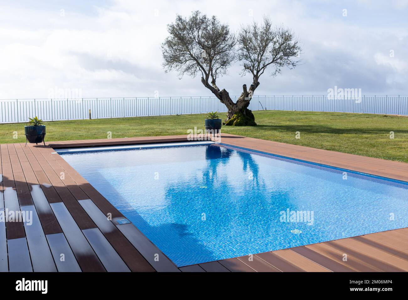 Ein Olivenbaum über dem privaten Pool, bewölktes Wetter Stockfoto