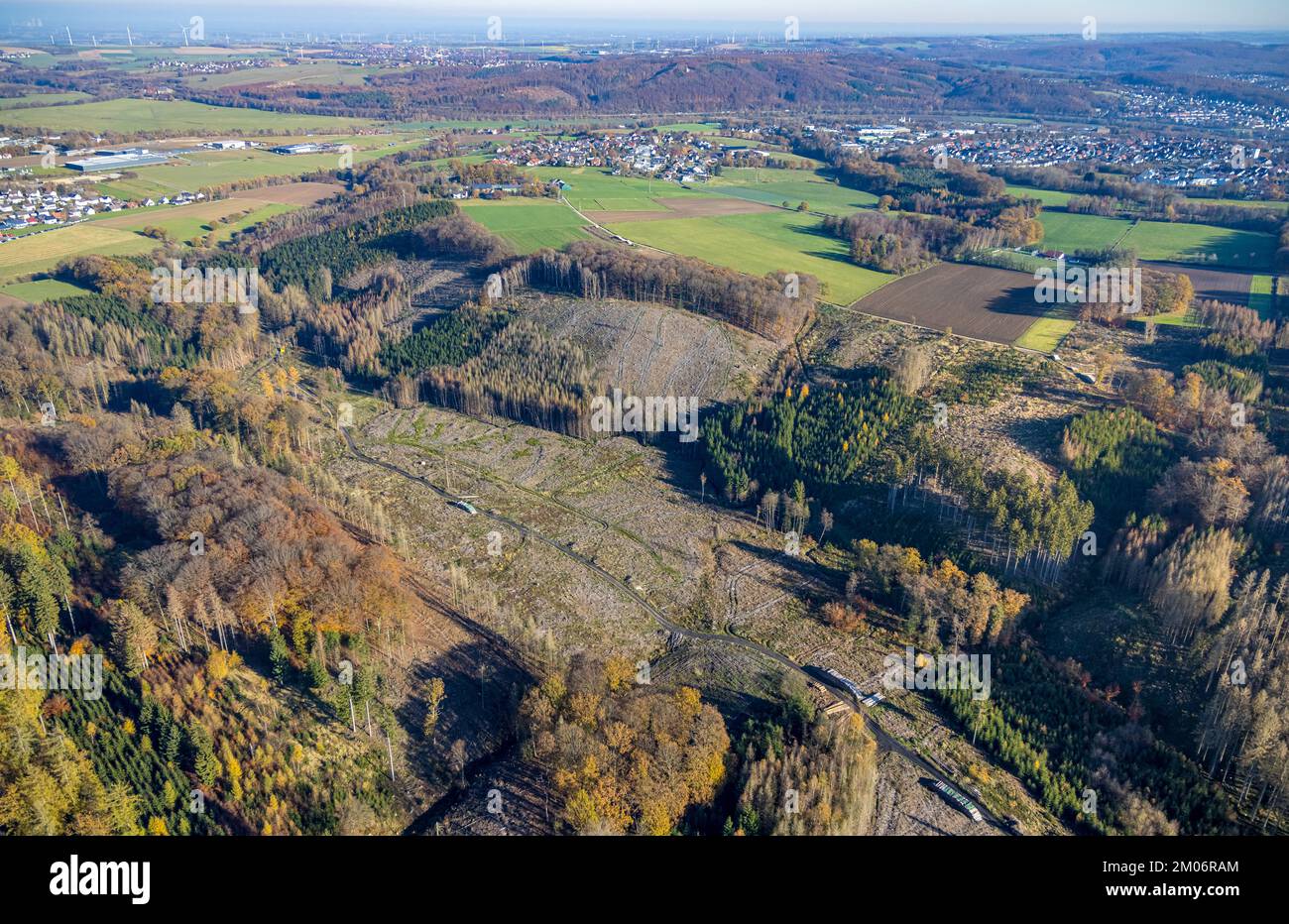 Luftbild, Wildwald Vosswinkel Waldgebiet mit Waldschäden im Stadtteil Voßwinkel in Arnsberg, Sauerland, Nordrhein-Westfalen, Deutschland Stockfoto
