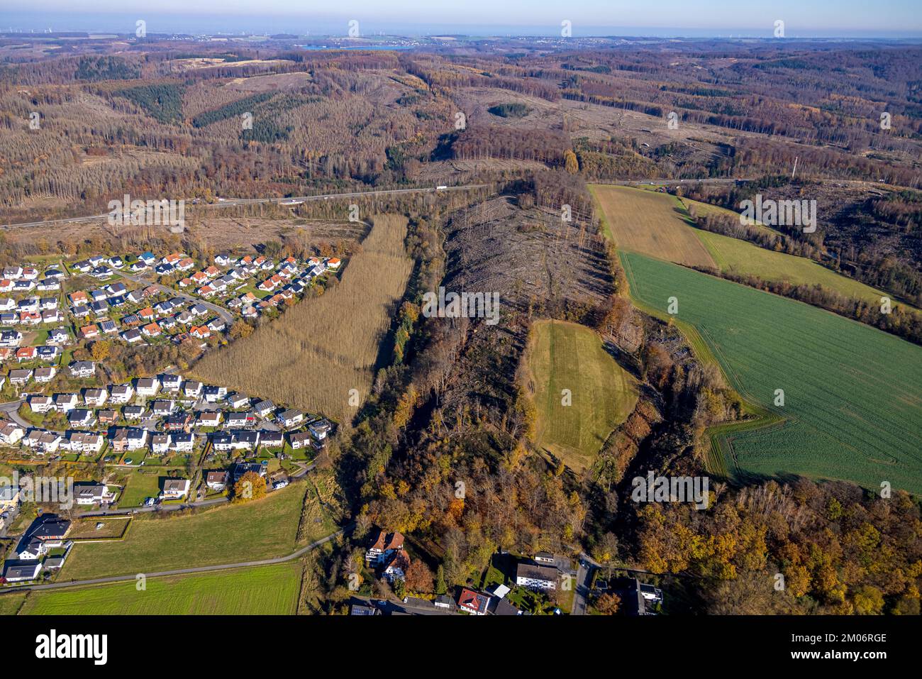 Luftbild, Wohnsiedlung im Stadtteil Bruchhausen und Waldgebiet mit Waldschäden in Arnsberg, Sauerland, Nordrhein-Westfalen, Deutschland Stockfoto