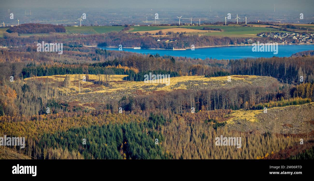 Luftbild, Waldgebiet mit Waldschäden und Blick zum Möhnesee - Hevesee im Stadtteil Hüsten in Arnsberg, Sauerland, Nordrhein-Westfalen, Deutschland Stockfoto