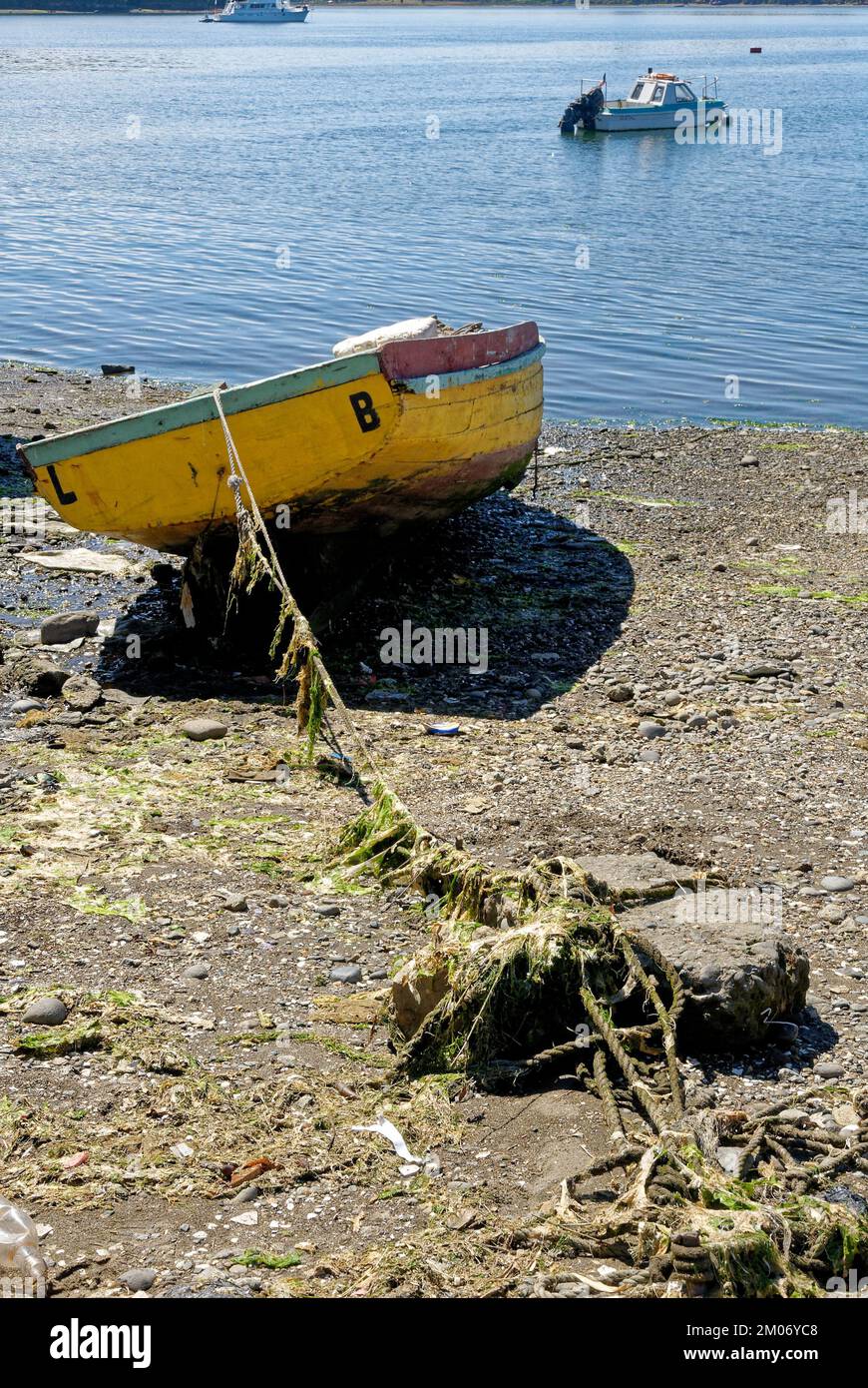 Fischerboote in Golfo de Ancud - Castro Bay, Chilo Island im chilenischen Seengebiet. 16.. Februar 2014 - Castro, Chile, Südamerika Stockfoto