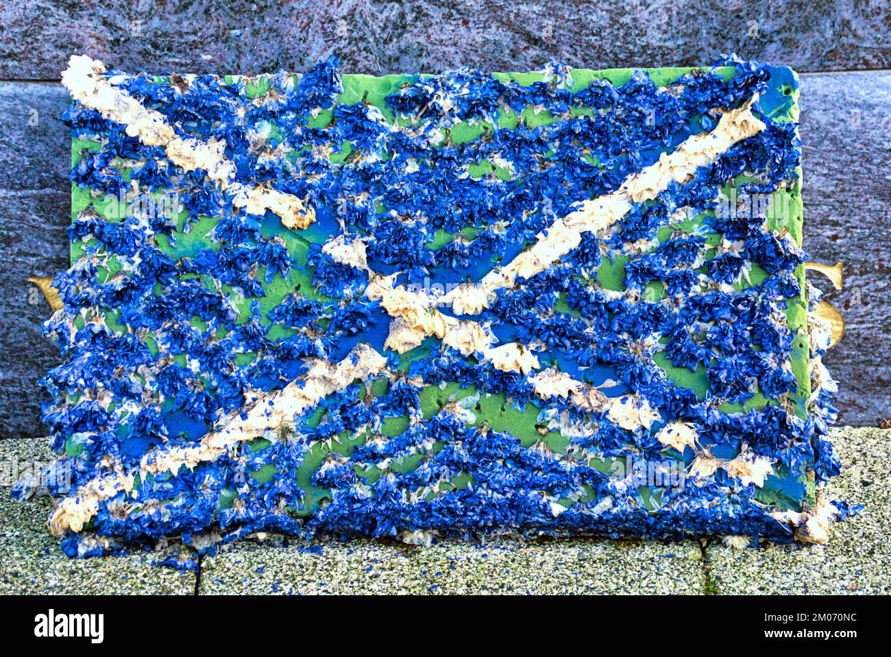 Schottische Saltire St. Andrews Cross-Plaque Stockfoto