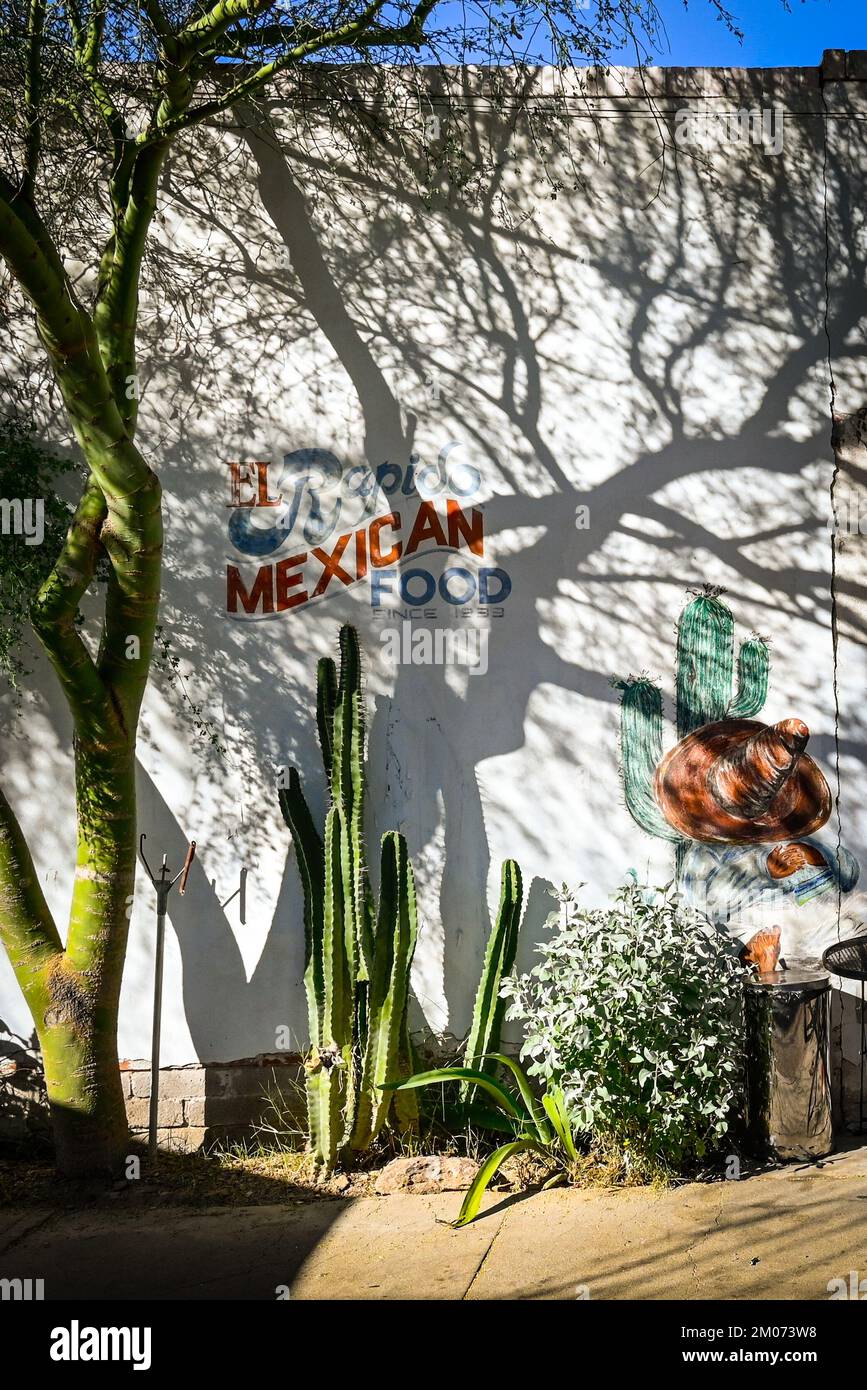 Ein palo verde-Baum schattiert Ceres Cacti und Retro-Wandgemälde für das ehemalige mexikanische Restaurant „El Rapido“ in der Innenstadt von Tucson, AZ. Stockfoto