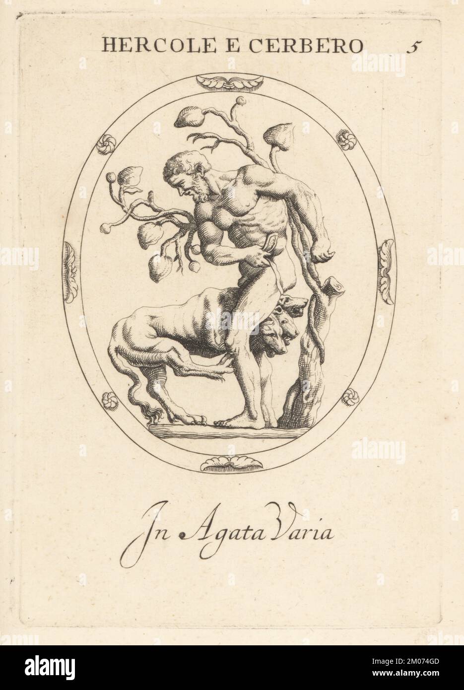 Herkules fängt den dreiköpfigen Hund Cerberus, den Wachhund des Hades. In variegiertem Achat. Hercole e Cerbero. In agata varia. Kupferplatten-Gravur von Giovanni Battista Galestruzzi nach Leonardo Agostini aus Gemmae et Sculpturae Antiquae Depicti ab Leonardo Augustino Senesi, Abraham Blooteling, Amsterdam, 1685. Stockfoto