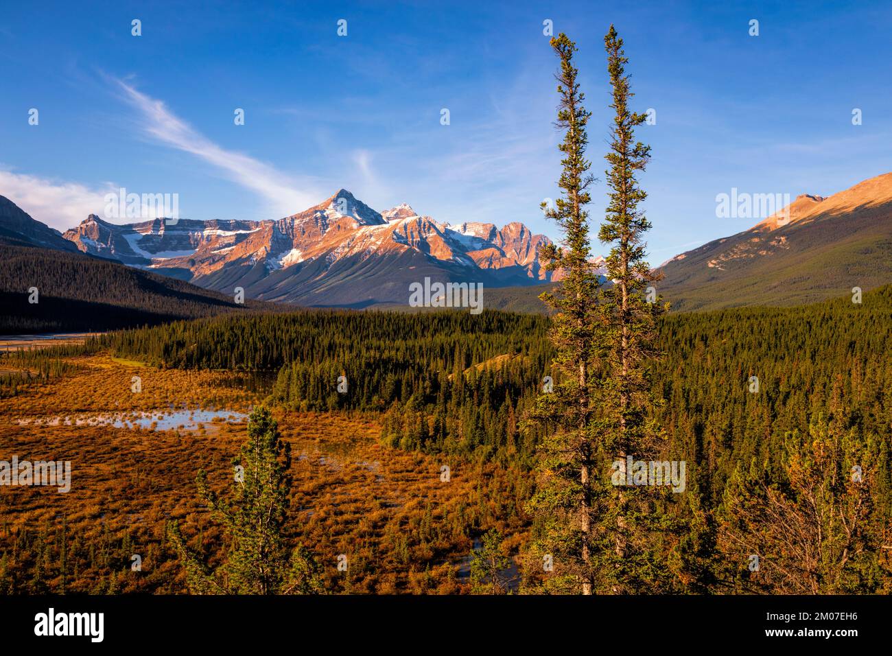 Dramatische Berggipfel erheben sich in den Kanadischen Rocky Mountains, die eine zerklüftete Wildnis und unberührte Landschaft im Westen Kanadas bieten. Stockfoto