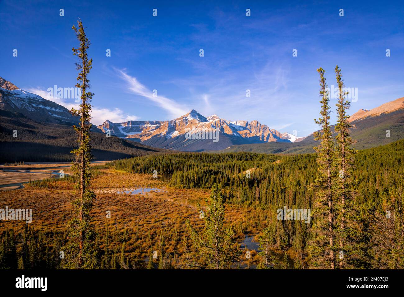 Dramatische Berggipfel erheben sich in den Kanadischen Rocky Mountains, die eine zerklüftete Wildnis und unberührte Landschaft im Westen Kanadas bieten. Stockfoto