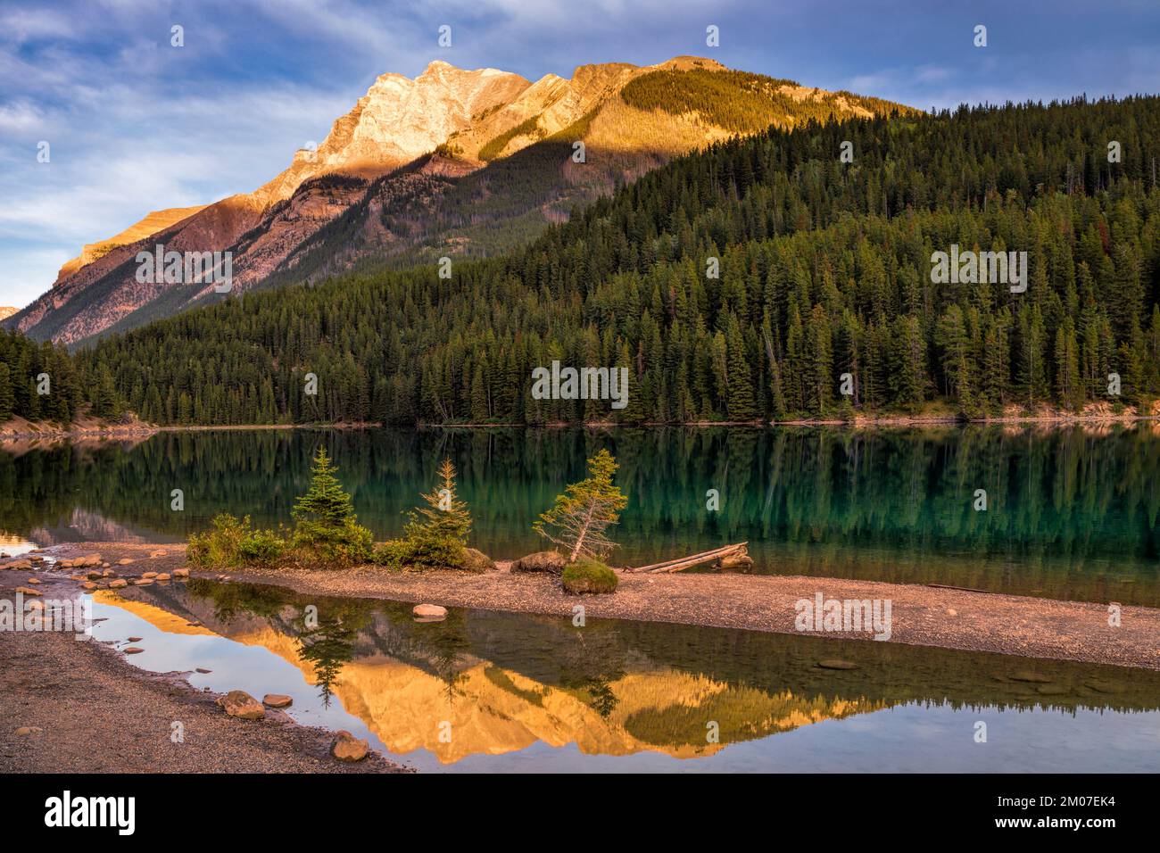 Kleine Uferbäume stehen am ruhigen Wasser des Two Jack Lake im Banff National Park, umgeben von Berglandschaften in den Kanadischen Rocky Mountains. Stockfoto