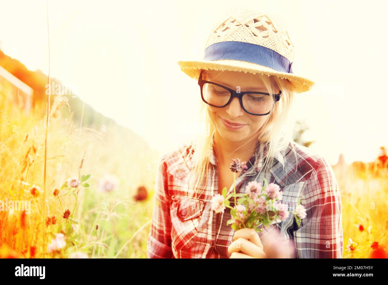 Wildblumen pflücken. Wunderschöner junger Hipster auf einem Feld mit einem Haufen Wildblumen - Lomo-Fotografie. Stockfoto