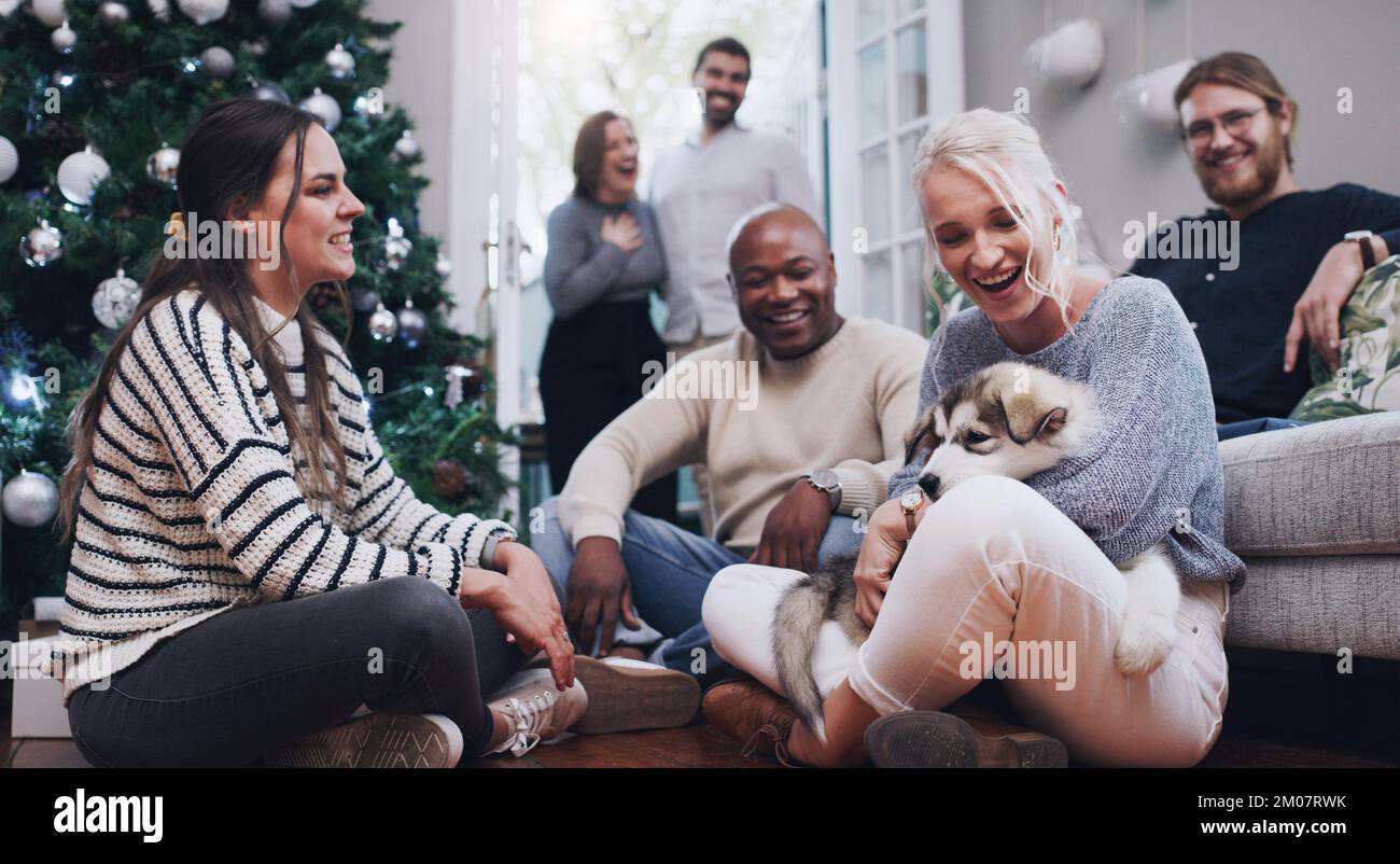 Weihnachten, Hunde und Partys mit Freunden im Wohnzimmer zum Feiern, Entspannen und Feiern. Glücklich, Urlaub und Weihnachten mit Haustier und Gruppe von Leuten zu Hause Stockfoto