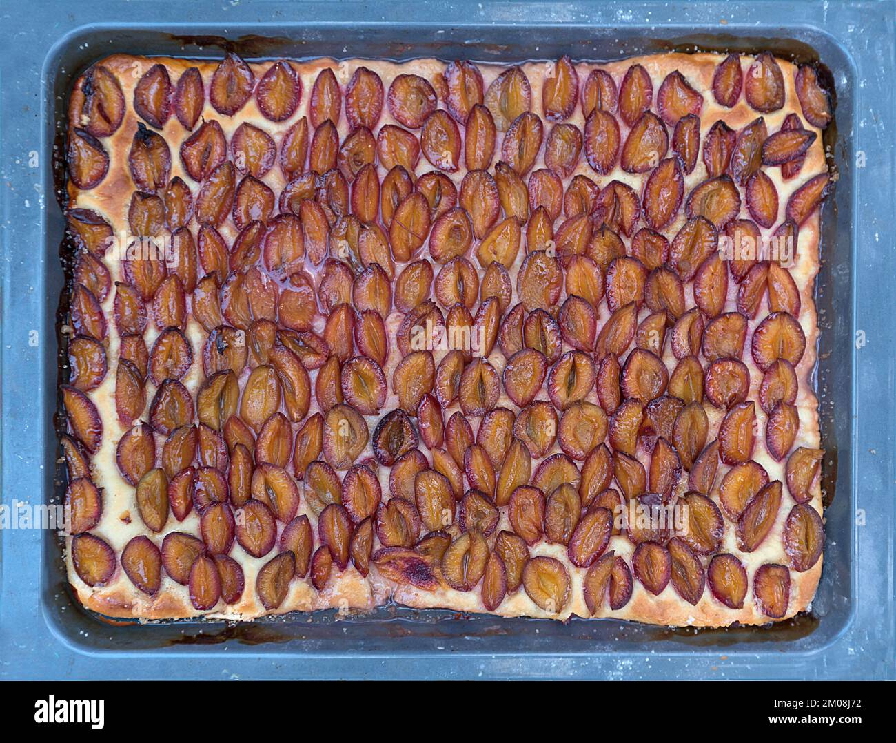 Frischer Pflaumenkuchen auf dem Backblech, Niedersachsen, Deutschland, Europa Stockfoto