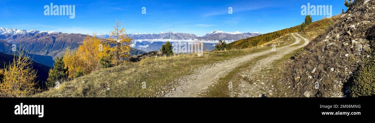 Straße nach Alpage de Mase, farbenfrohe Herbstwälder, Mase, Wallis, Schweiz, Europa Stockfoto