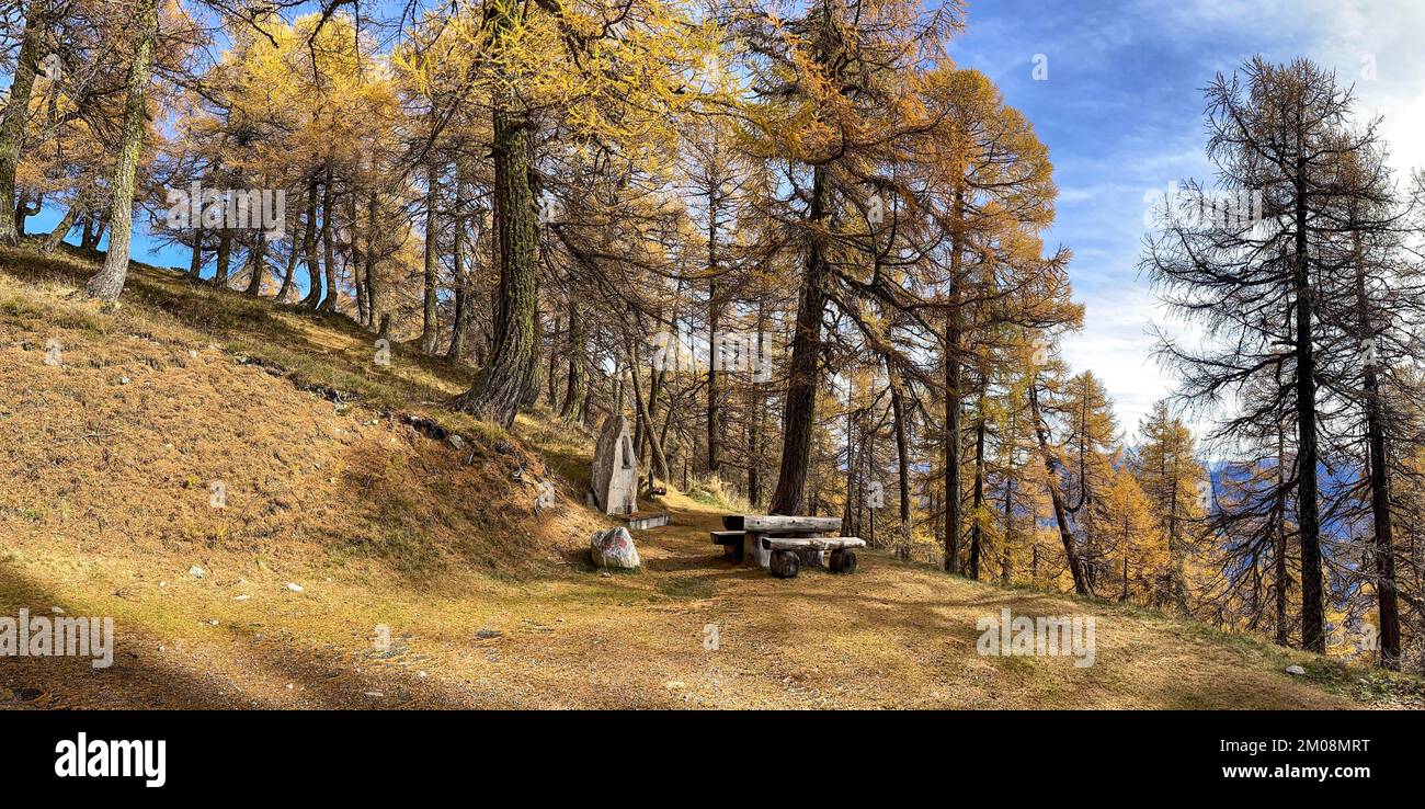 Ruhestätte mit Gedenkstein, heller Lärchenwald im Herbst, obere Feselalpe, Gampel, Wallis, Schweiz, Europa Stockfoto