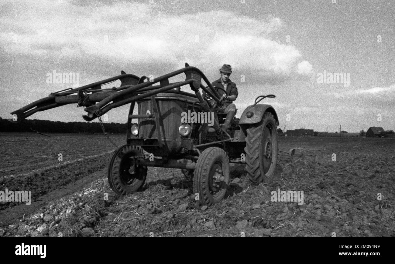 Bauern, die auf den Feldern in Muensterland auf 10.09.1971, Deutschland, Europa arbeiten Stockfoto