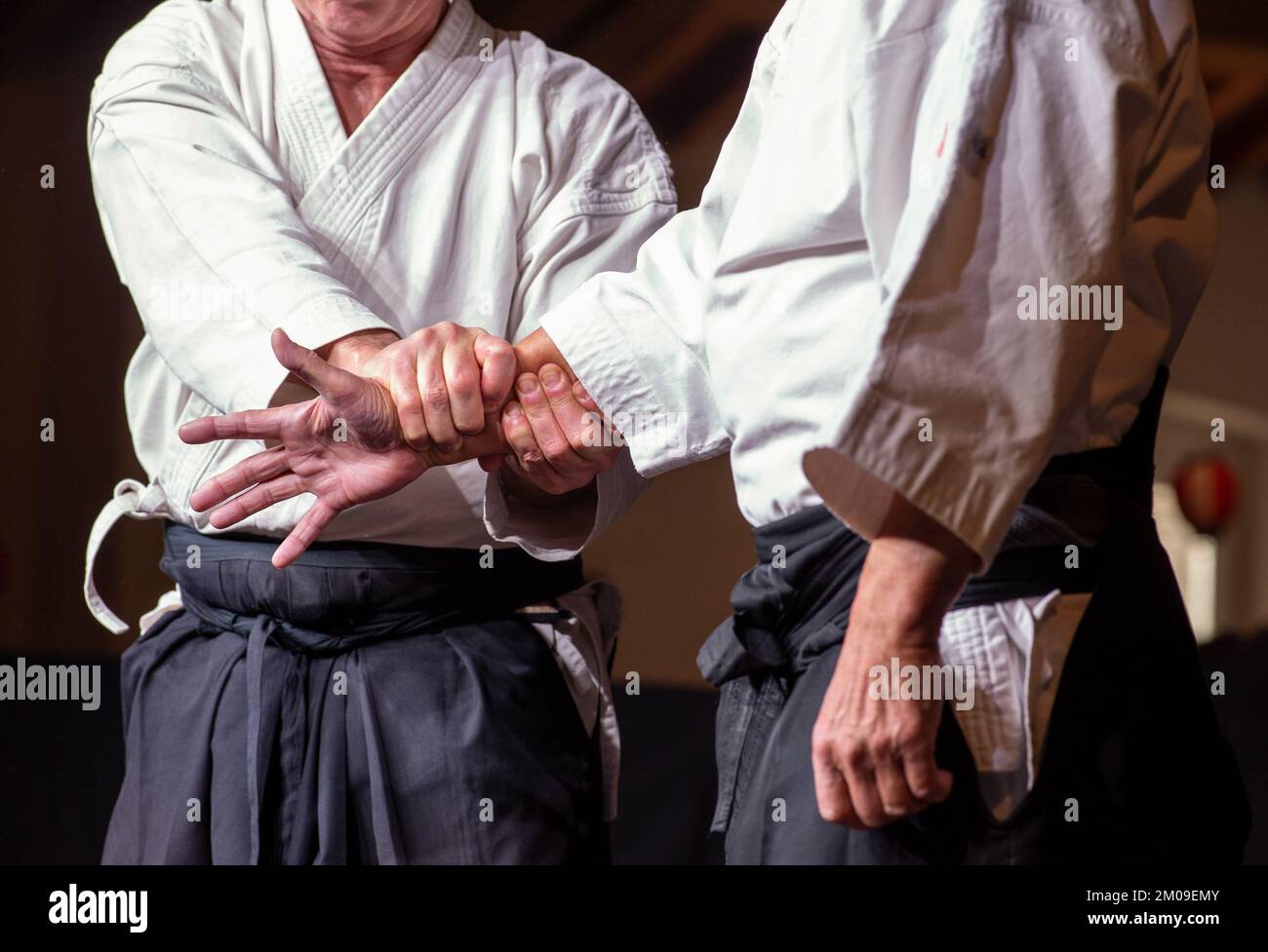 Handgelenkabwehr. Der Meister des schwarzen Gürtels Aikido während eines Trainings. Stockfoto