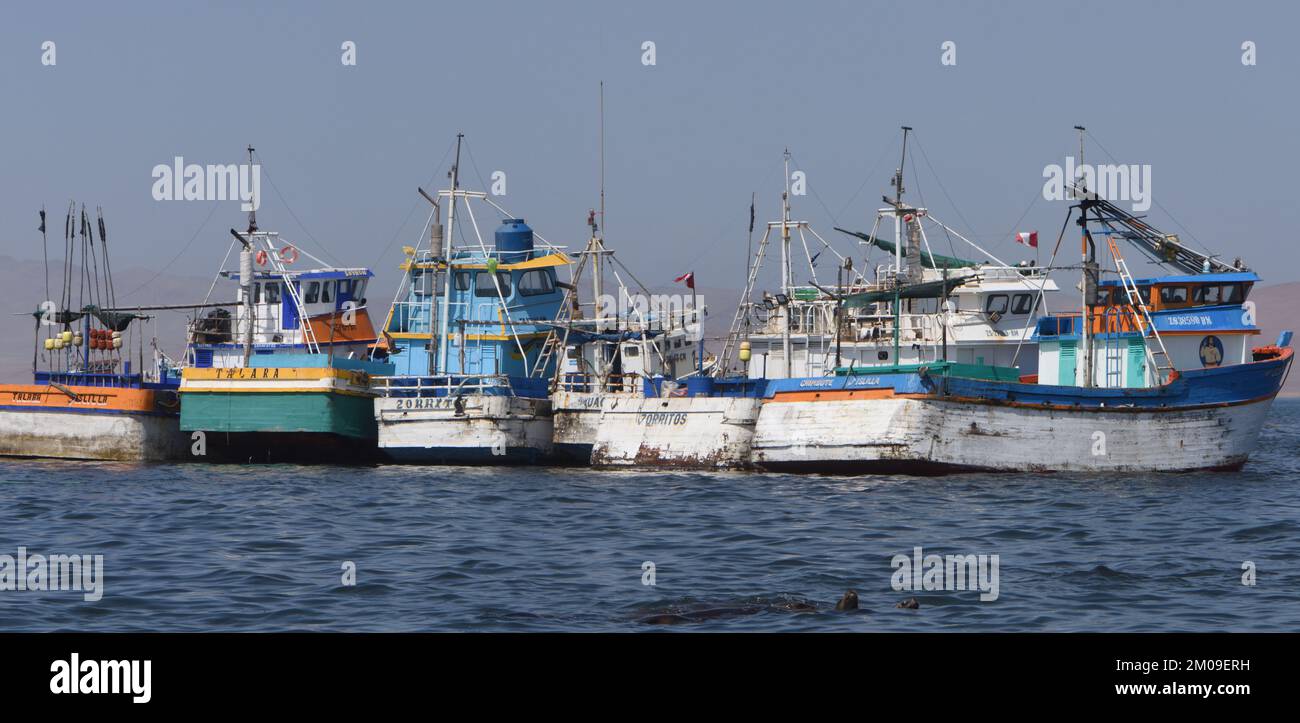 Fischerboote in der Bucht von Pucusana. Es ist ein typischer nebeliger Novembermorgen mit neuen Wohnungen und der Wüstenlandschaft im Hintergrund. Pucusana, Stockfoto