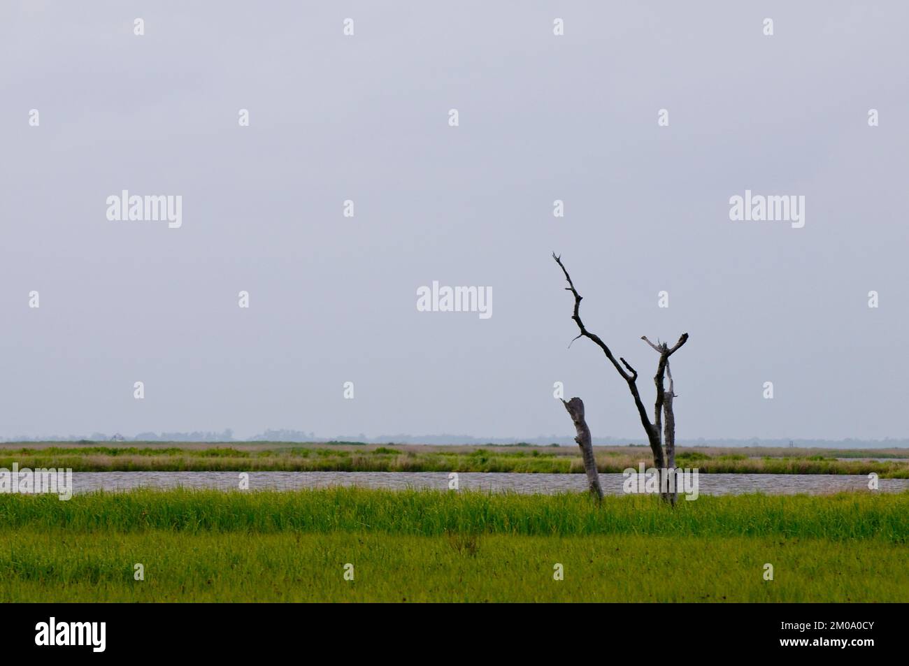 Büro der Verwaltungsrätin (Lisa P. Jackson) - Cocodrie, Louisiana und Oil Disaster Meeting in Dulac, Louisiana (BP-Ölpest) - USEPA-Foto von Eric Vance, Environmental Protection Agency Stockfoto