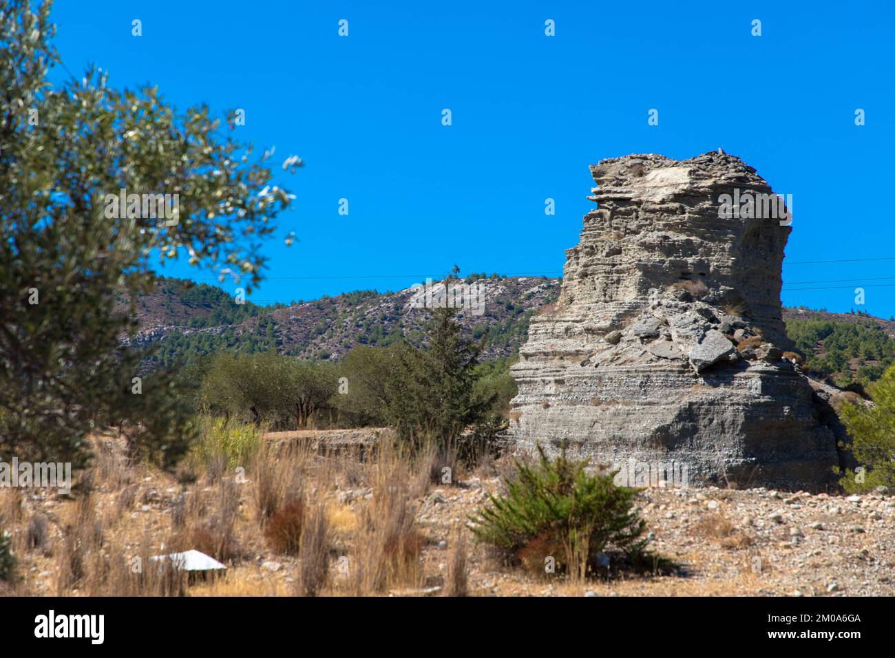 Olivenbaum und großer Stein in einer typisch griechischen Landschaft. Trockenes Klima und sonniger blauer Himmel. Rhodos-Insel, Griechenland. Stockfoto