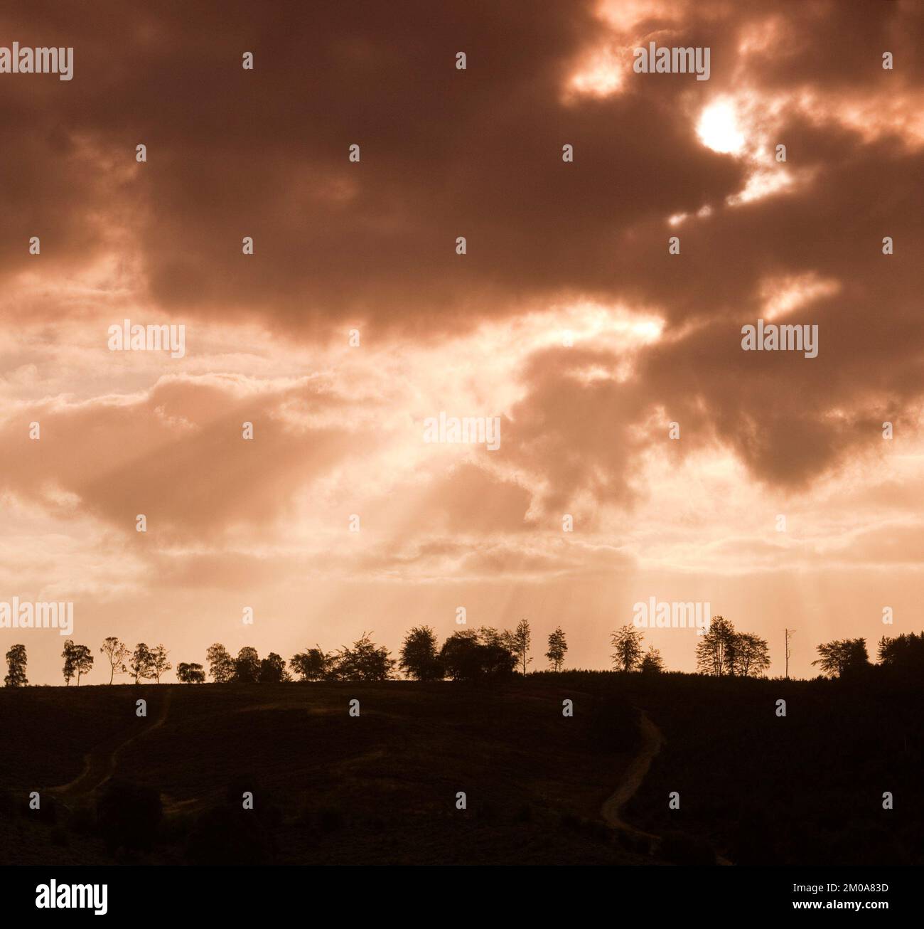 Stürmische Morgenstürme, dramatische Sturmwolken, über den Hügeln der Cannock Chase Area of Outstanding Natural Beauty Staffordshire England UK Stockfoto