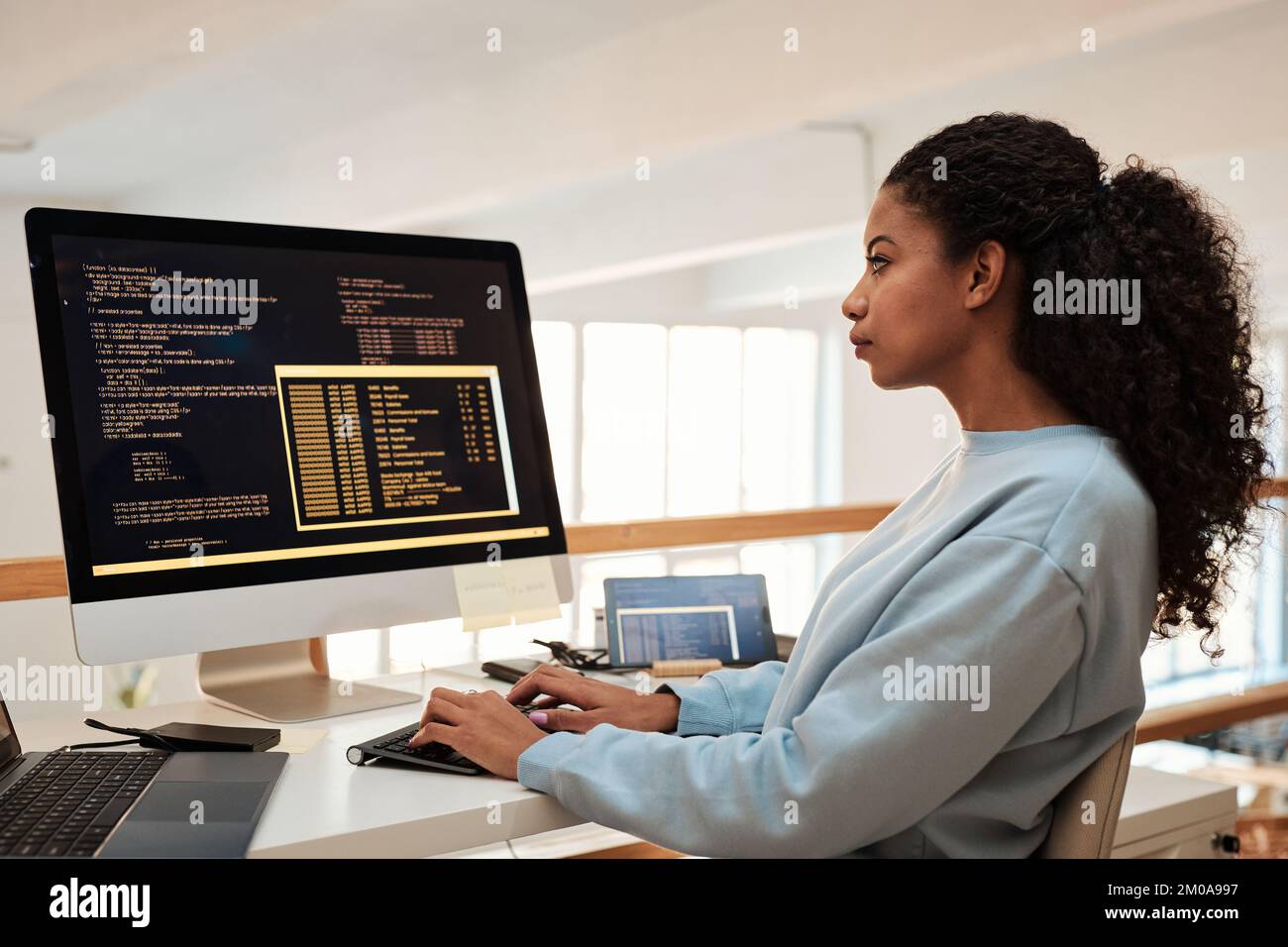 Junge weibliche Software-Ingenieurin, die Programme und Systeme überprüft und bereitstellt Stockfoto