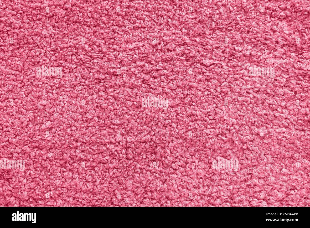 Neue weiche rote, geschwungene Teddy-Fleece-Überwurf- oder Kissenbezüge in der Farbe des Jahres 2023 Viva Magenta. Abstrakter Textilhintergrund mit Locken. Draufsicht, Nahaufnahme Stockfoto