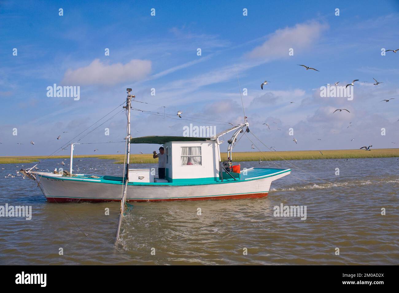 Büro der Verwaltungsrätin (Lisa P. Jackson) - Cocodrie, Louisiana und Wasserprobenahme (BP Oil Spill) - USEPA-Foto von Eric Vance, Environmental Protection Agency Stockfoto
