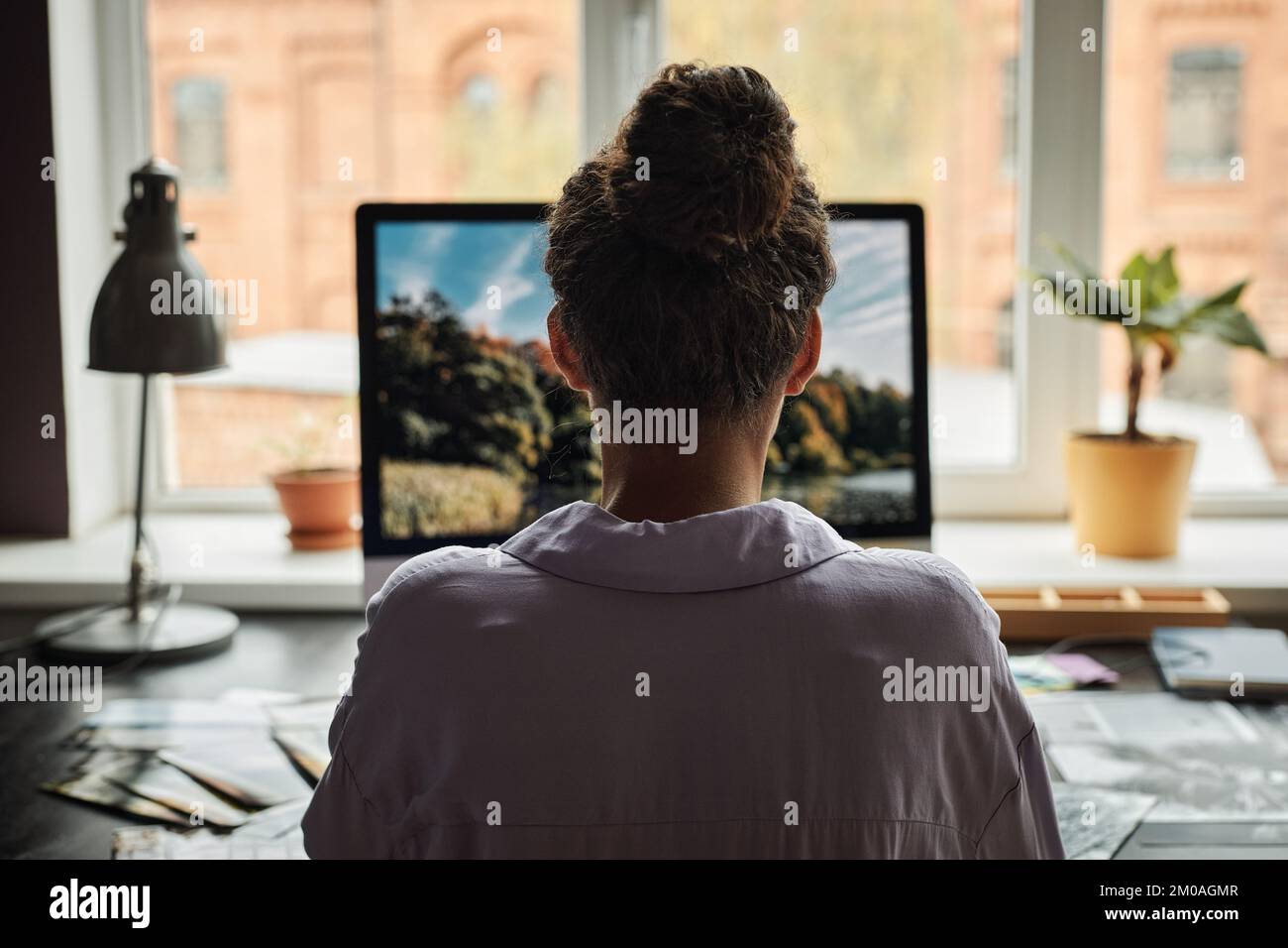 Junge Frau, die im Heimbüro am Computer arbeitet und Fotos bearbeitet, Ansicht von hinten Stockfoto