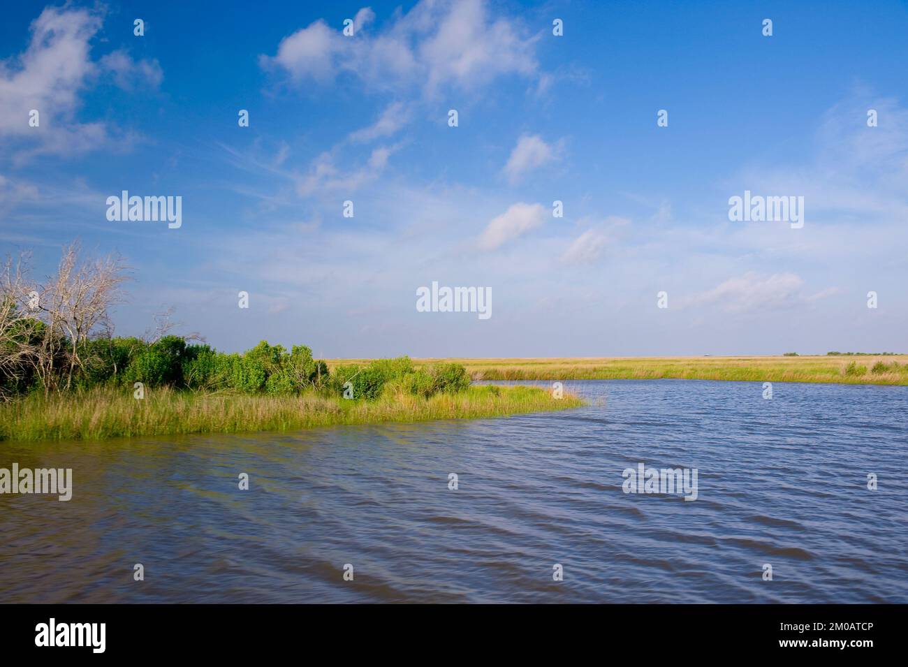 Büro der Verwaltungsrätin (Lisa P. Jackson) - Cocodrie, Louisiana und Wasserprobenahme (BP Oil Spill) - USEPA-Foto von Eric Vance, Environmental Protection Agency Stockfoto
