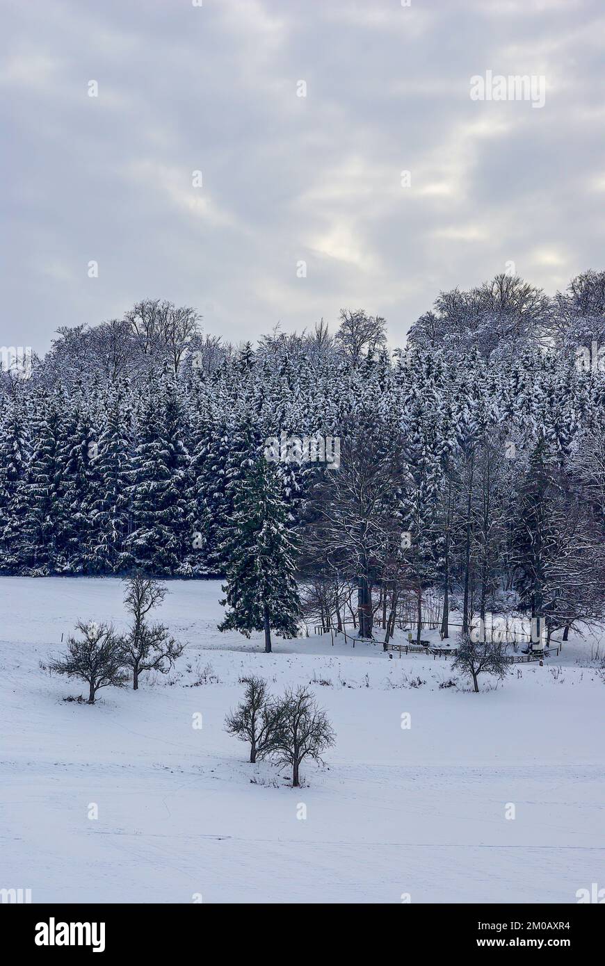 Winterlandschaft mit schneebedeckten Weiden und dunklem Wald an der Schwäbischen Alb bei Mönsingen, Baden-Württemberg. Stockfoto
