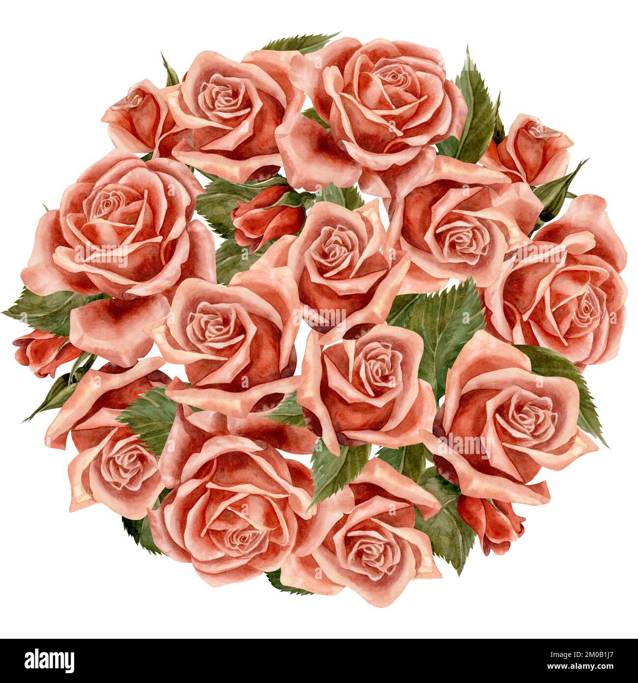 Rose. Rahmen. Aquarell. Abbildung für Clipart. Entwickelt für Blumenstudios, Weihnachtsdekoration, Hochzeiten, Verpackungen, Textilien, Webdesign, Website Stockfoto