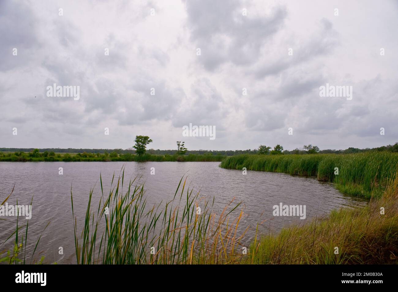 Büro der Verwaltungsrätin (Lisa P. Jackson) - Cocodrie, Louisiana und Oil Disaster Meeting in Dulac, Louisiana (BP-Ölpest) - USEPA-Foto von Eric Vance, Environmental Protection Agency Stockfoto