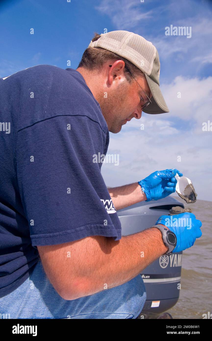 Büro der Verwaltungsbehörde (Lisa P. Jackson) - verschiedene Bilder (BP-Ölpest) - Hilfsschiffe und Bohrplattform für Entlastungsbrunnen, Golf von Mexiko. USEPA-Foto von Eric Vance, Environmental Protection Agency Stockfoto