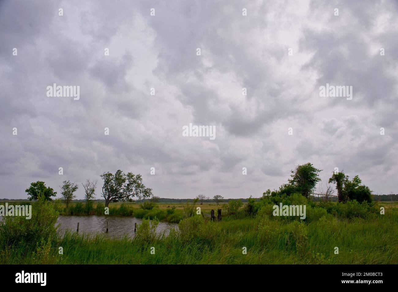 Büro der Verwaltungsrätin (Lisa P. Jackson) - Cocodrie, Louisiana und Oil Disaster Meeting in Dulac, Louisiana (BP-Ölpest) - USEPA-Foto von Eric Vance, Environmental Protection Agency Stockfoto