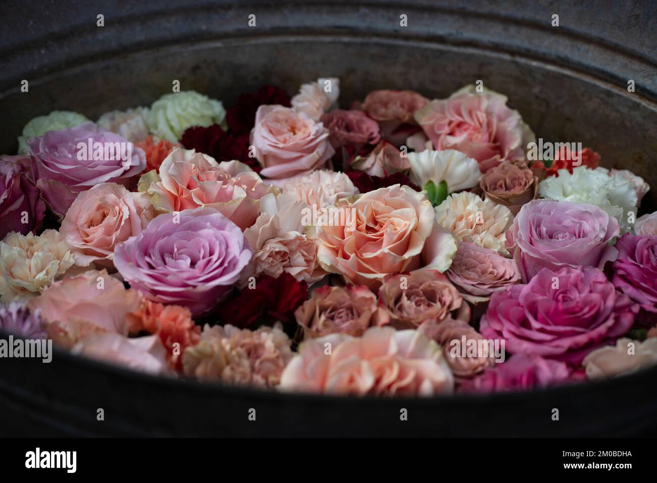 Blumenarrangements in rosa Tönen und sanften Farben in einem alten Metalleimer. Foto im Vintage-Stil. Stockfoto