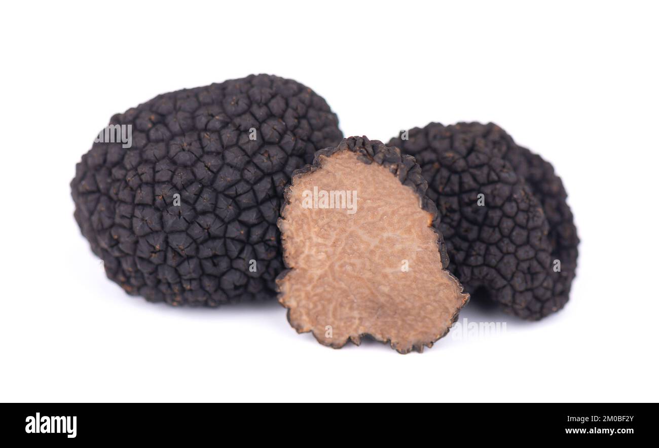 Schwarze Trüffeln isoliert auf einem weißen Hintergrund. Frische Trüffel in Scheiben geschnitten. Delikatesse exklusive Trüffel Pilz. Pikant und duftende Französische Delikatesse Stockfoto