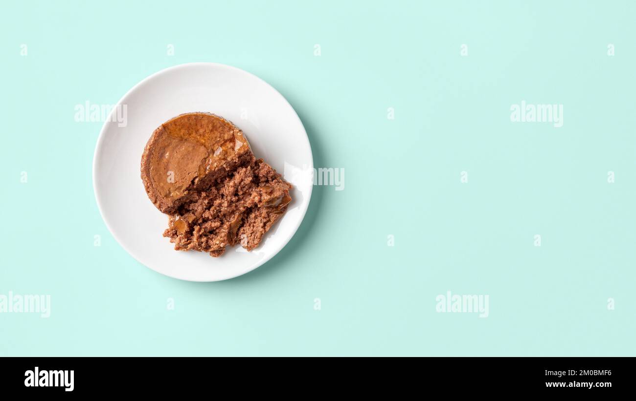 Weiche Pastete für Katze auf einem Futterteller auf pastellfarbenem Minzgrün-Hintergrund. Anteil von nassem Heimtierfutter aus Hackfleisch auf einer weißen Untertasse. Nasses Haustierfutter. Stockfoto