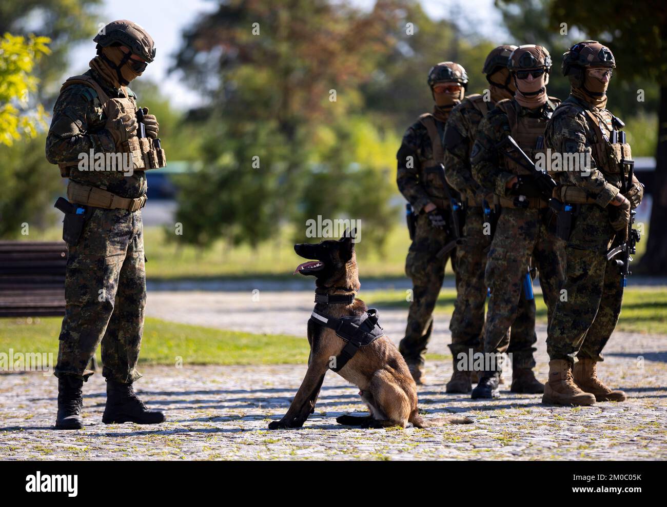 Sofia, Bulgarien - 13. September 2022: Bulgarische Armeeangehörige nehmen an einer Demonstration ihrer Fähigkeiten Teil. Grenzpatrouillenhund. Stockfoto