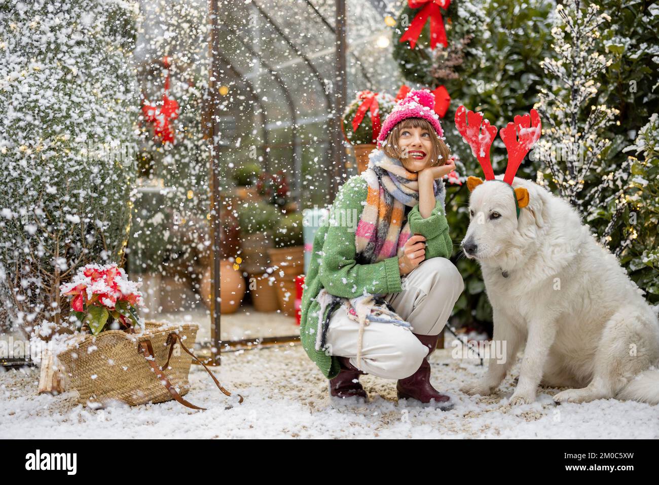 Eine Frau spielt mit ihrem Hund in den Winterferien im Garten Stockfoto