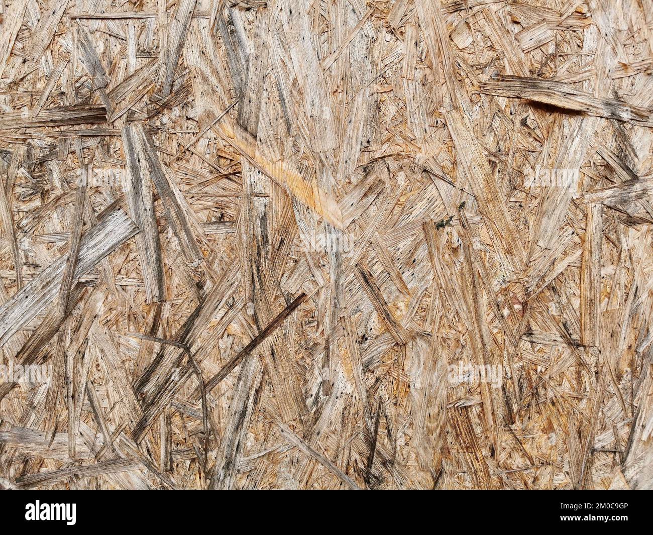 Spanplatte aus Holz, nasse Oberfläche. Hintergrund und Struktur der OSB- oder MDF-Platte. Nahaufnahme. Stockfoto