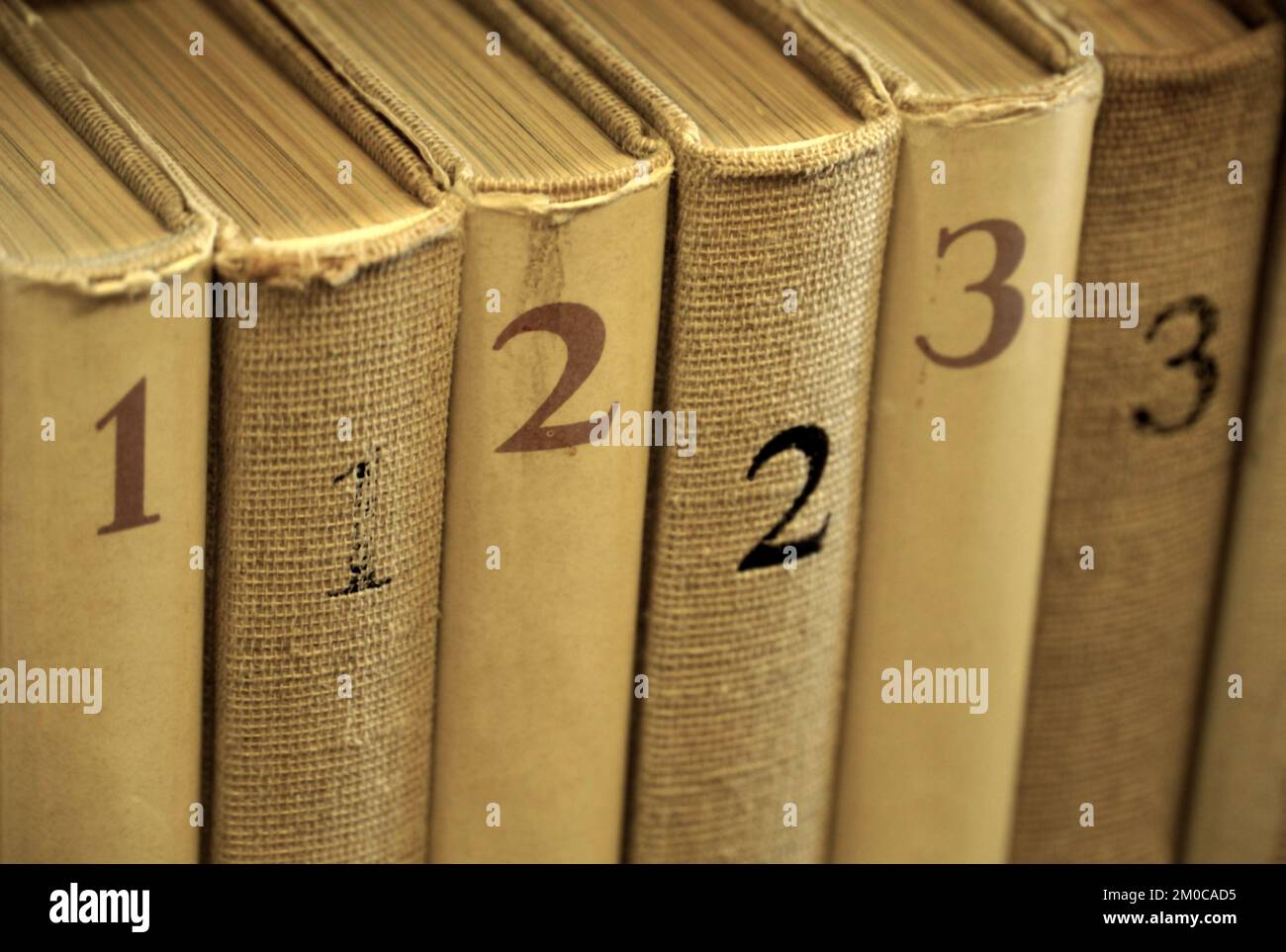 Alte, abgenutzte Bücher in der Bibliothek in drei Bänden auf einem Bücherregal in Sepia-Farbe Stockfoto
