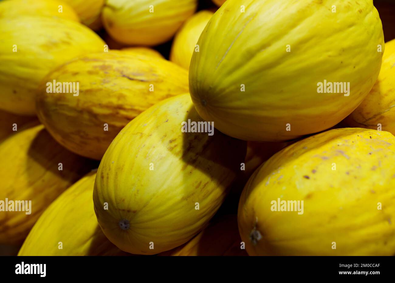 Honigmelonen am Marktstand Stockfoto