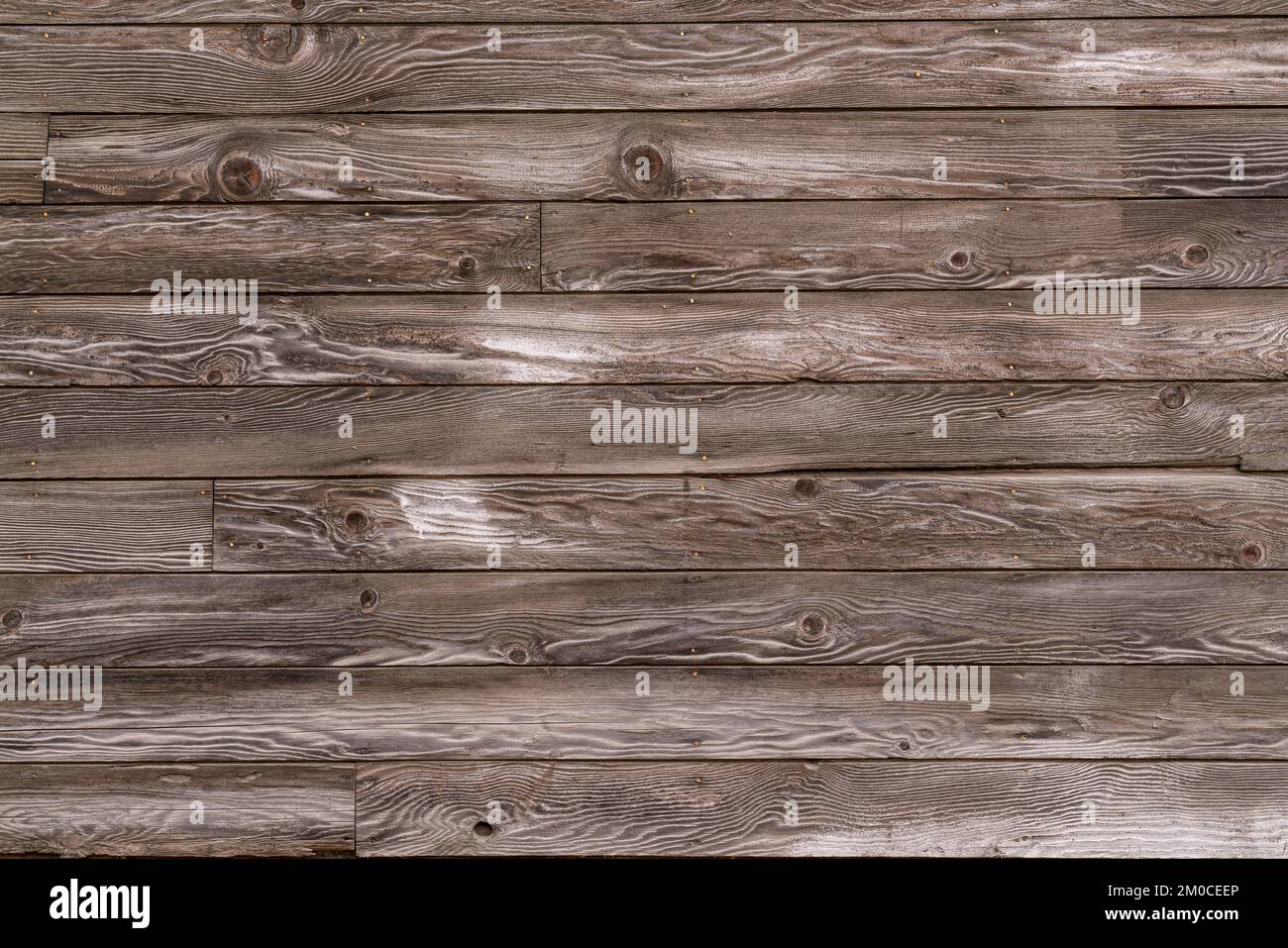 Alte graue horizontale verwitterte Holzverkleidung Stockfoto