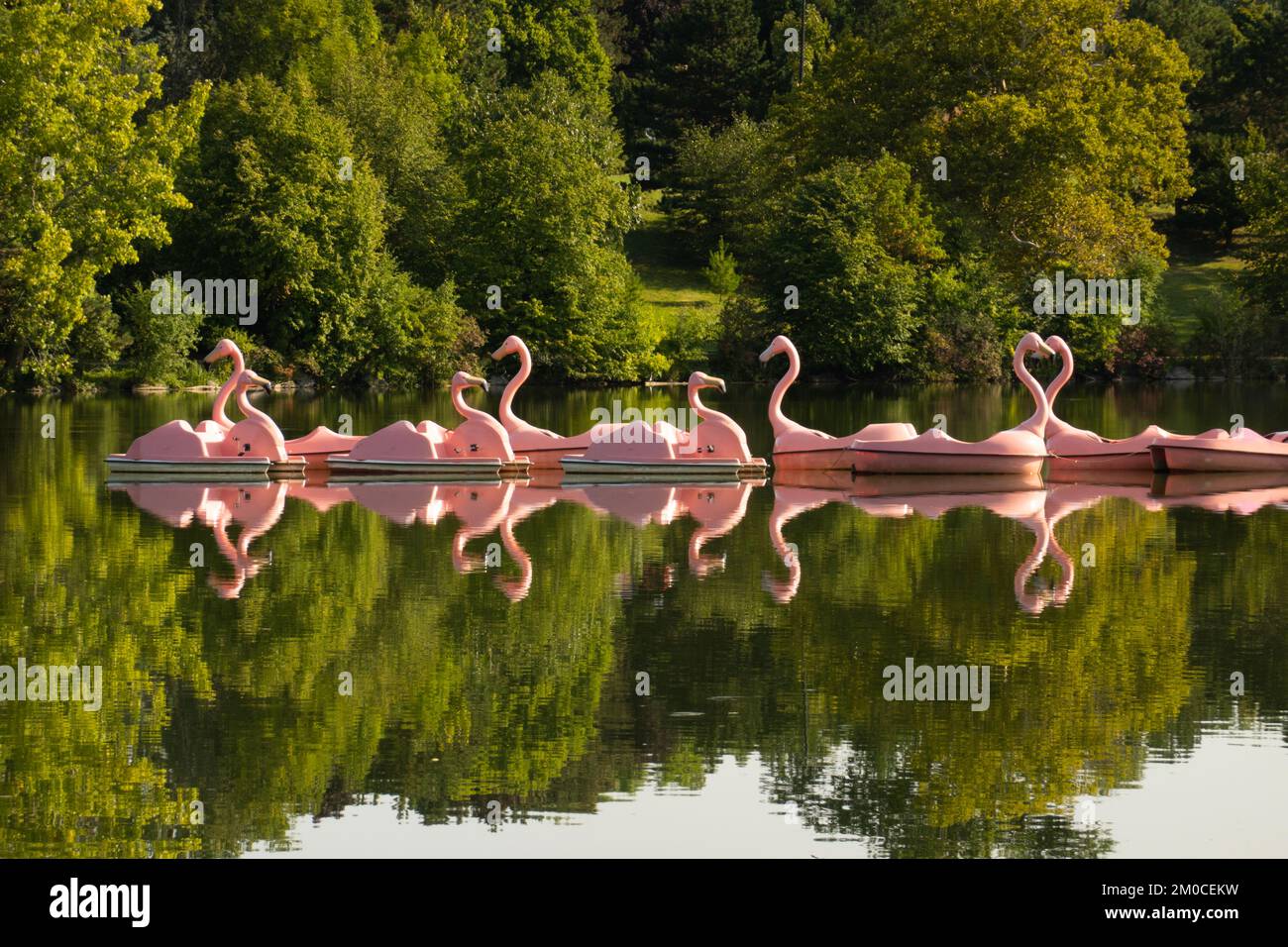 Flamingo-Boot auf dem Hoyt Lake im Delaware Park in Buffalo NY Stockfoto