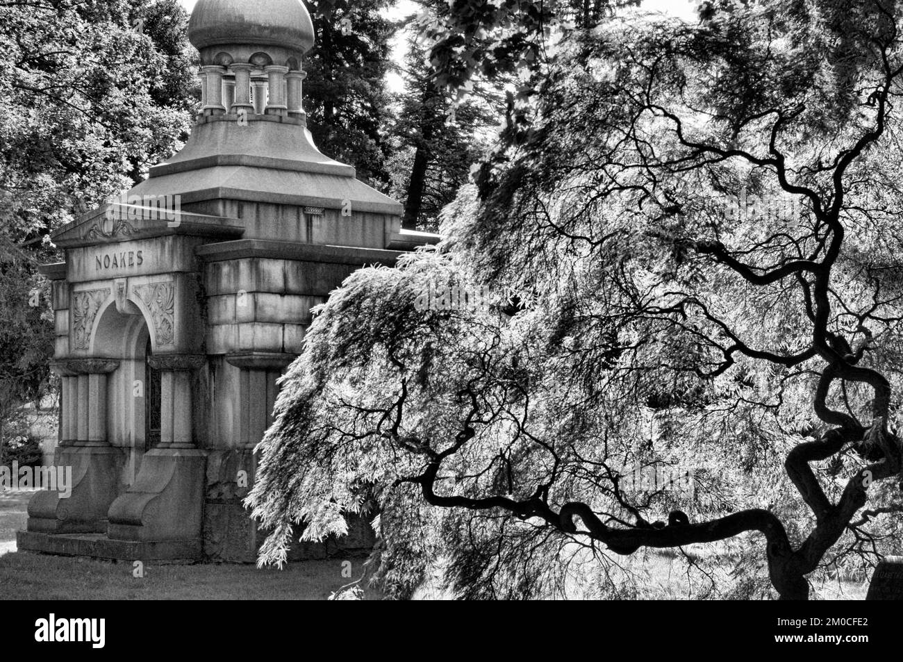 Woodlawn Friedhof. Webster Avenue, Ecke East 233. Street. Woodlawn 4 (Mo-so 8:30-17 / Fotos nach vorheriger Genehmigung). Tel.: 718-920-0500. Das Hier Stockfoto