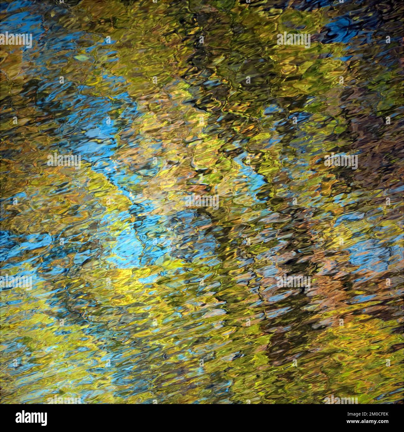 Abstrakte Fotografie eines Waldgebiets im Herbst mit Farbtönen und Farbtönen, die sich im Teich im Cannock Chase Forest, einer benannten AONB, widerspiegeln Stockfoto