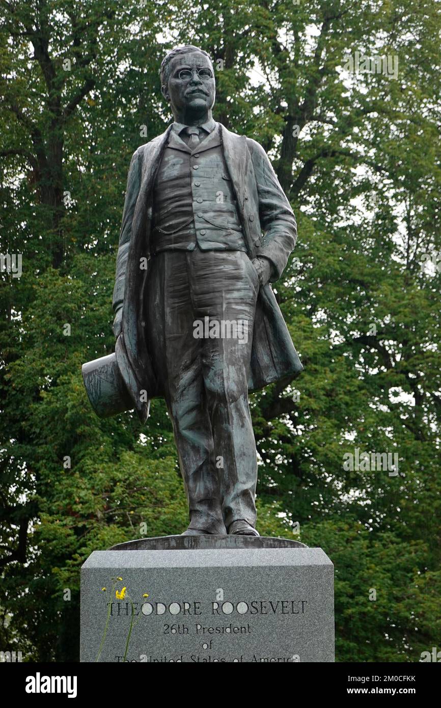 Theodore Roosevelt, erste nationale historische Stätte in Buffalo, New York Stockfoto