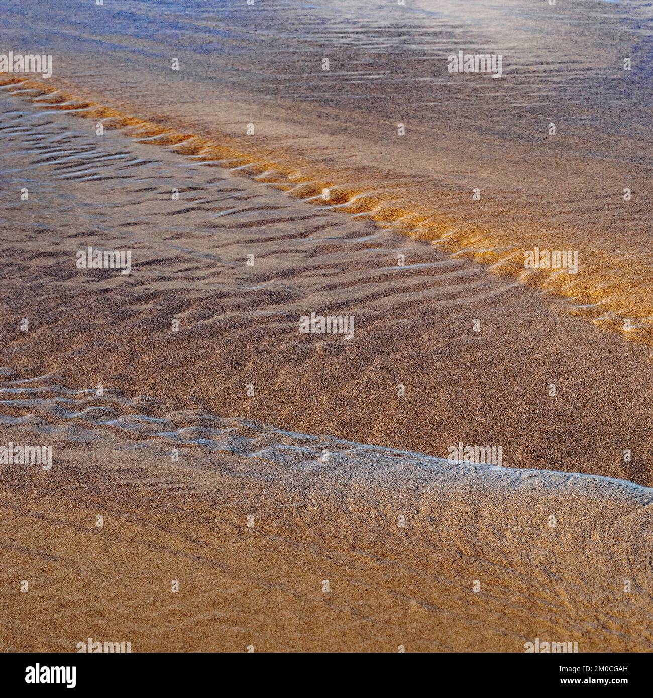 Abstrakte detaillierte Gezeiten Muster in den Sand bei Ebbe auf Penbryn Beach in South West Wales UK Stockfoto