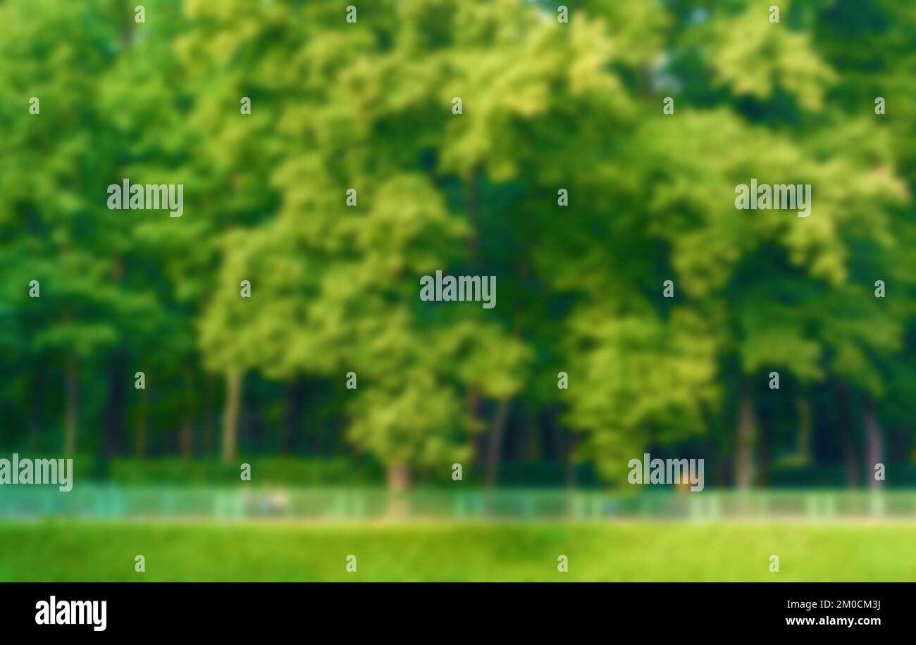 Verwischen Sie natürliche und helle Hintergründe im Park. Bokeh Hellgelb Grün abstrakte Hintergrundtexturen. Stockfoto
