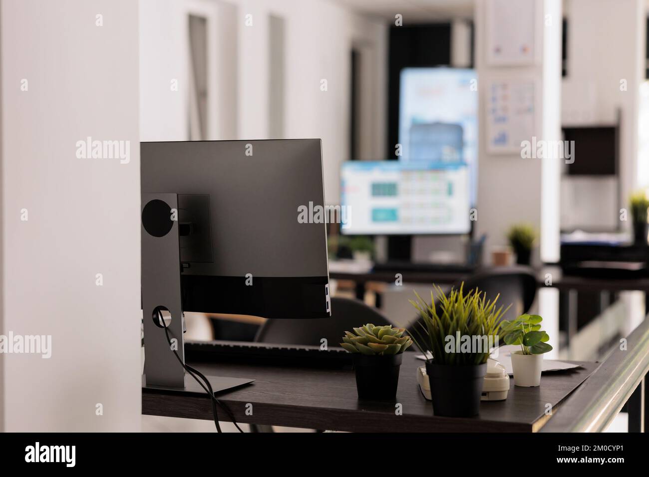 Nahaufnahme von Zimmerpflanzen als Teil der Dekoration eines modernen Gemeinschaftsbüros. Unbemannte Workstations mit Desktop-Computern auf dem Tisch, Konzept für den Arbeitsplatz. Stockfoto