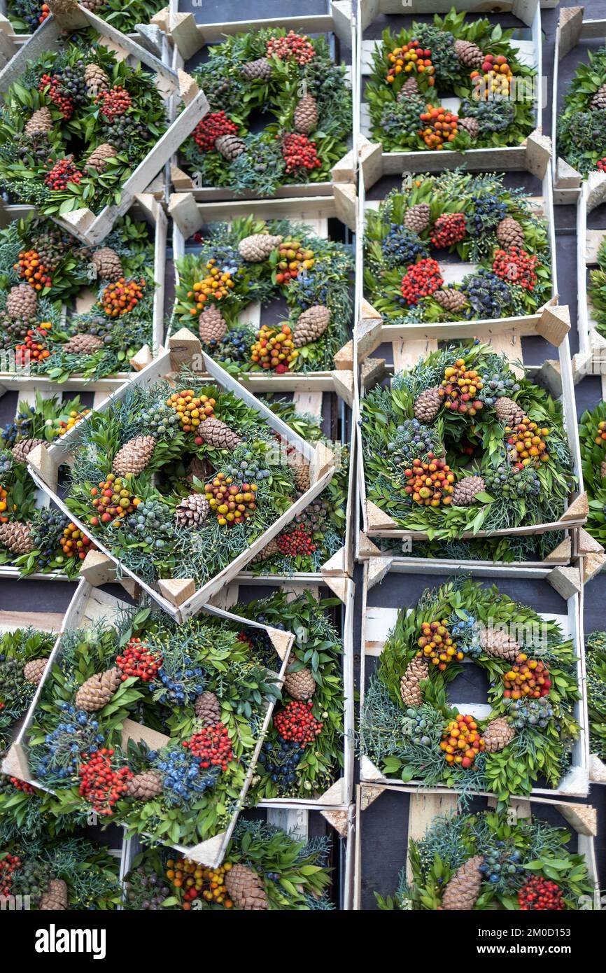 Viele Weihnachtskränze aus Tannenzweigen mit Hypericum-Beeren zum Verkauf im Fenster. Geometrisches Muster. Textur Stockfoto